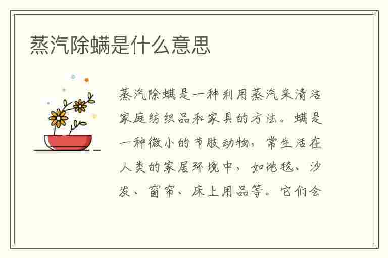 蒸汽除螨是什么意思(洗衣机蒸汽除螨是什么意思)